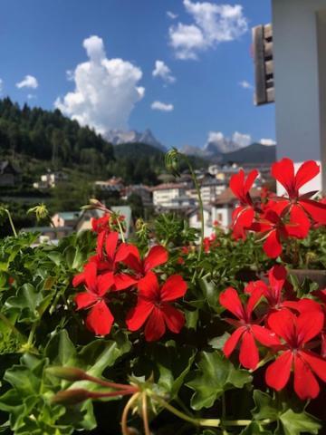 Апартаменти La Casa Di Monte Ricco П'єве-ді-Кадоре Екстер'єр фото