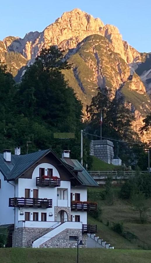 Апартаменти La Casa Di Monte Ricco П'єве-ді-Кадоре Екстер'єр фото