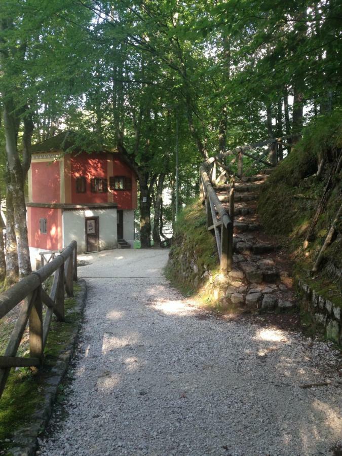 Апартаменти La Casa Di Monte Ricco П'єве-ді-Кадоре Екстер'єр фото